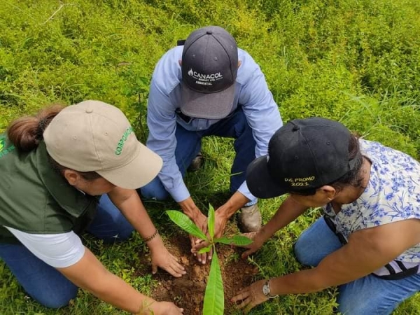 ¡Sembramos árboles como parte de nuestra vida!