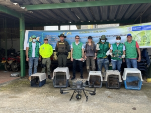 &iexcl;𝐌&aacute;𝐬 𝐝𝐞 𝟒𝟎𝟎 𝐞𝐬𝐩𝐞𝐜&iacute;𝐦𝐞𝐧𝐞𝐬 𝐝𝐞 𝐟𝐚𝐮𝐧𝐚 𝐬𝐢𝐥𝐯𝐞𝐬𝐭𝐫𝐞 𝐝𝐞𝐜𝐨𝐦𝐢𝐬𝐚𝐝𝐨𝐬 𝐞𝐧 𝐥𝐚 𝐫𝐞𝐠𝐢&oacute;𝐧 𝐝𝐞 𝐥𝐚 𝐌𝐨𝐣𝐚𝐧𝐚: 𝐏𝐎𝐋𝐈𝐂𝐈𝐀 𝐍𝐀𝐂𝐈𝐎𝐍𝐀𝐋 𝐘 𝐂𝐎𝐑𝐏𝐎𝐌𝐎𝐉𝐀𝐍𝐀!