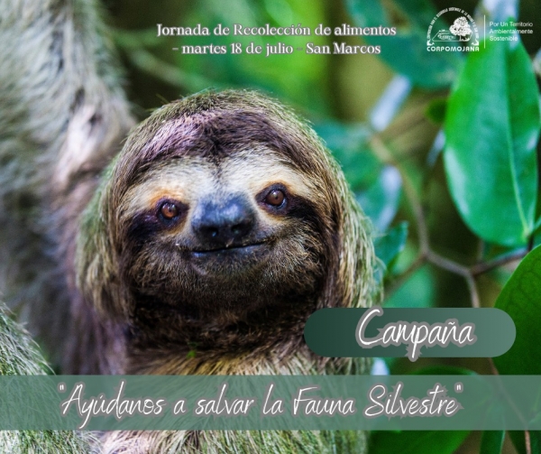 Campaña ayúdanos a salvar la fauna silvestre