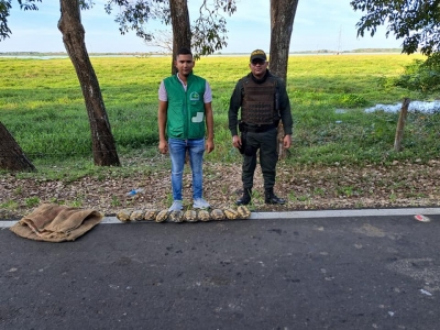 &iexcl;Permanecemos firmes en la protecci&oacute;n y conservaci&oacute;n de la fauna silvestre!
